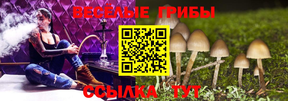 Псилоцибиновые грибы Cubensis Усолье-Сибирское
